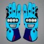 Raul Fernandez gloves