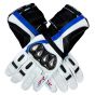 BMW S1000 RR Motorcycle Leather Gloves  BMW