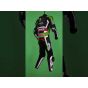 kawasaki motogp leathers Tom Sykes Kawasaki WSBK 2015