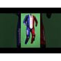 France Flag Motorbike Leathers
