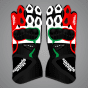 Johann Zarco British GP 2024 Gloves