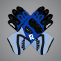Alex Marquez MotoGP 2025 gloves