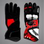 Francesco Bagnaia Winter Test 2025 Gloves