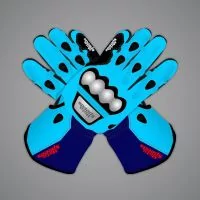 Blue Motorbike Gloves