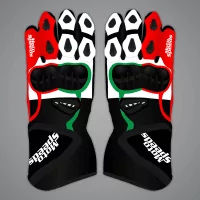 Johann Zarco Motorcycle Racing Gloves MotoGP 2024 upper view