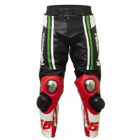 Tom Sykes Kawasaki 2015 SBK Leather Pants front view