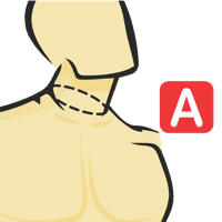 Neck Circumference At Collar