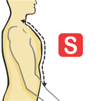 Neck to Waist - Front