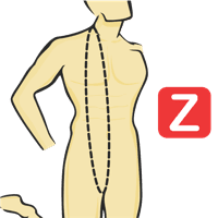 Vertical Torso Circumference