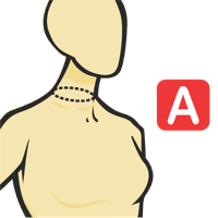 Neck Circumference At Collar