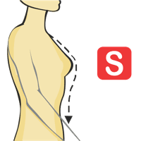 Neck to Waist - Front