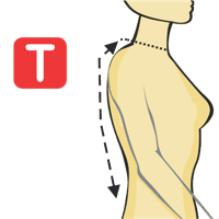 Neck to Waist - Back