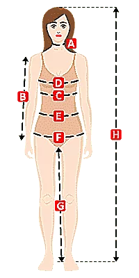 Size Chart Women Suit